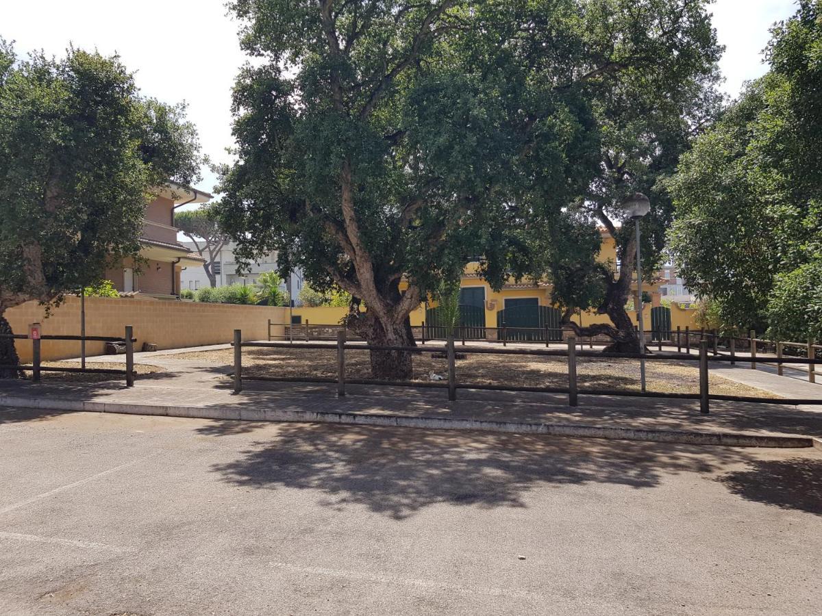 Villa Rimini - Seaview & Roman Holidays Apartments - Garden&Beach 300Mt Анцио Екстериор снимка
